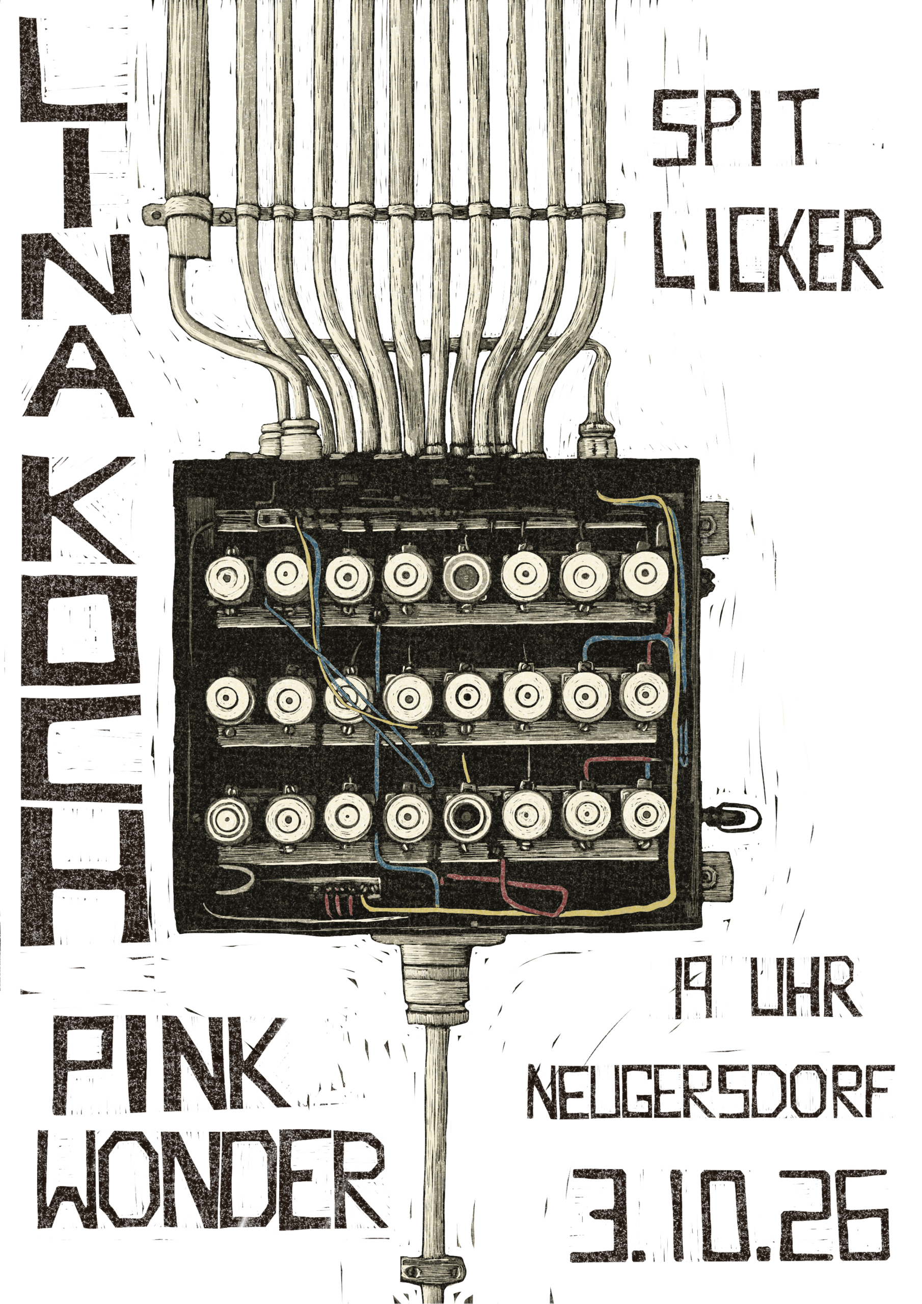 03.10.2026  |  Spit Licker / Pink Wonder  |  Konzert